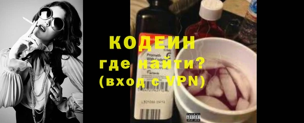 крисы Абаза