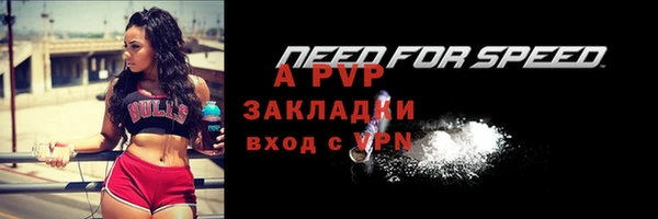 крисы Абаза