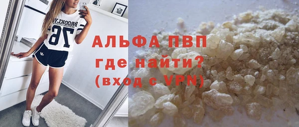 крисы Абаза