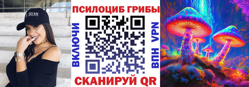 наркота  Тайга  сайты даркнета наркотические препараты  Псилоцибиновые грибы прущие грибы  кракен как зайти 
